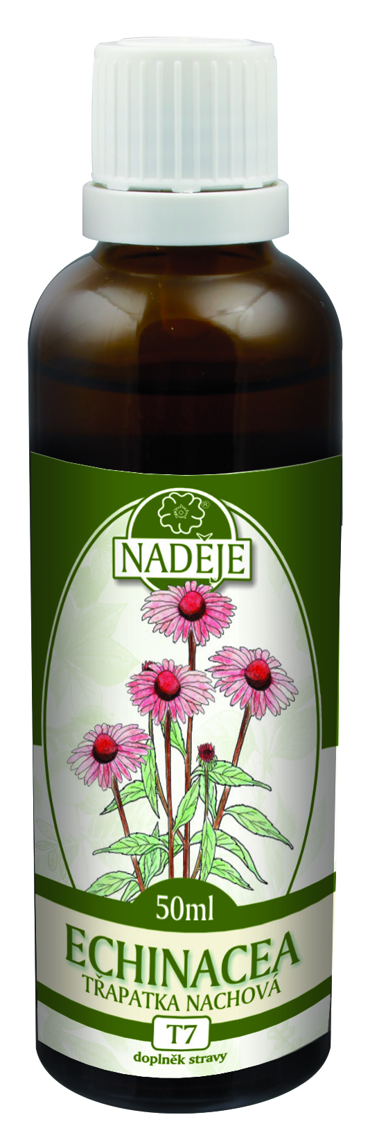 Echinacea - tinktura z byliny