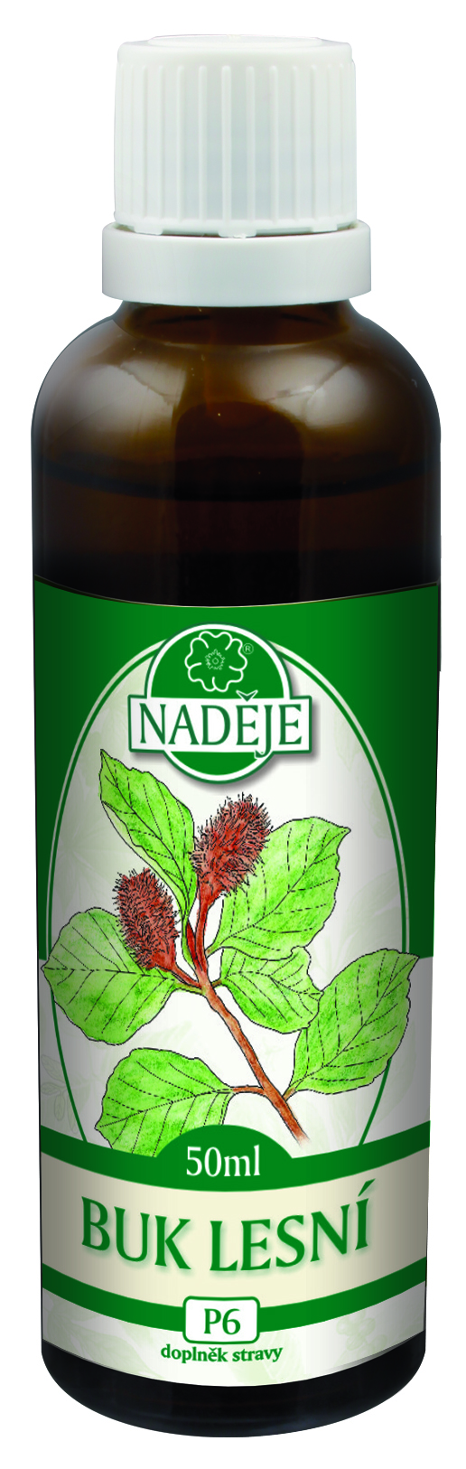 Buk lesní - tinktura z pupenů