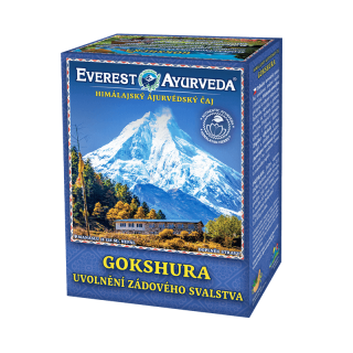 Everest Ayurveda GOPAL Pohodlné dýchání 100g
