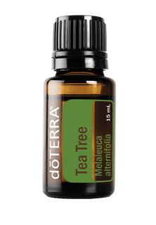 TEA TREE - MELALEUCA (čajovník)